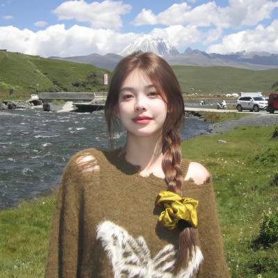 沙鹰行动